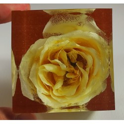 Dekorácia zo živých kvetov - žltá ruža