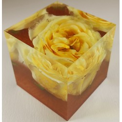 Dekorácia zo živých kvetov - žltá ruža