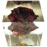 Dekorácia zo živých kvetov - červená ruža